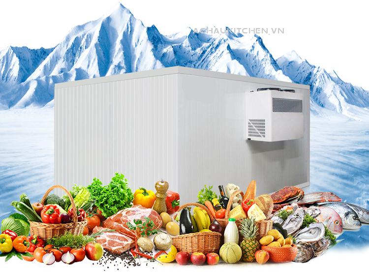 Lắp đặt kho lạnh, kho bảo quản lạnh, kho bảo quản đông (1)
